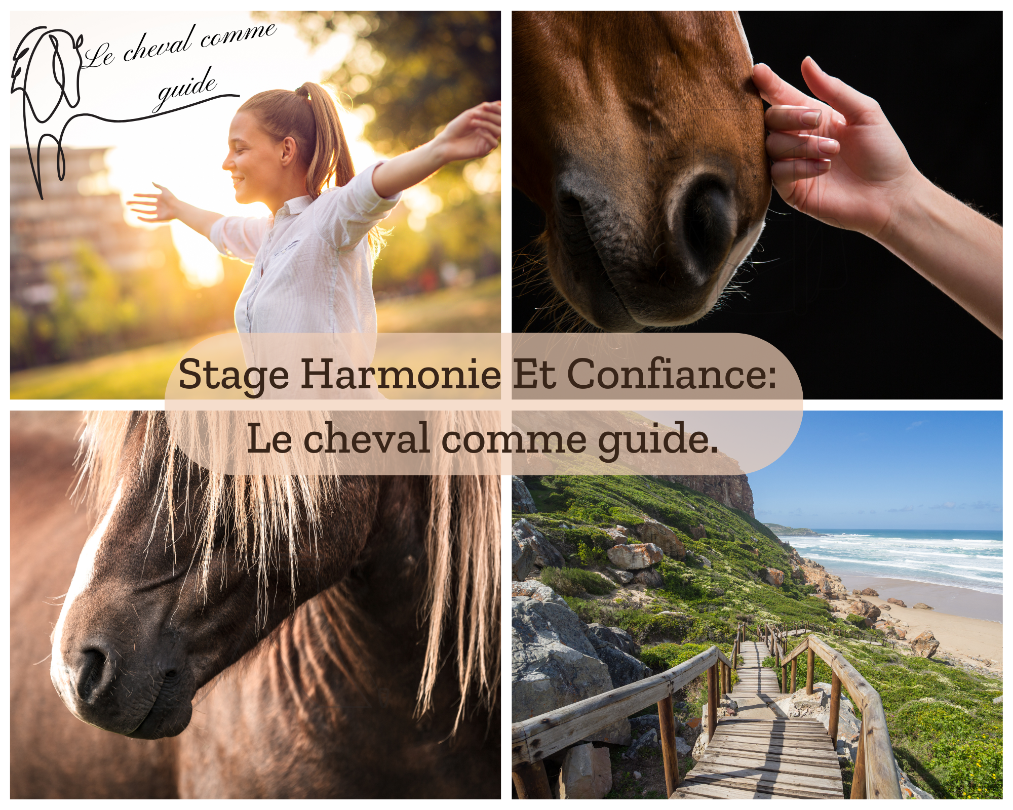 Affiche du stage