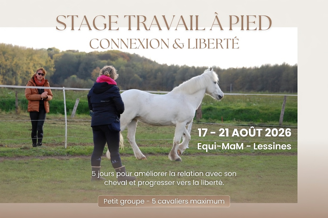 Cours de travail à pied et liberté