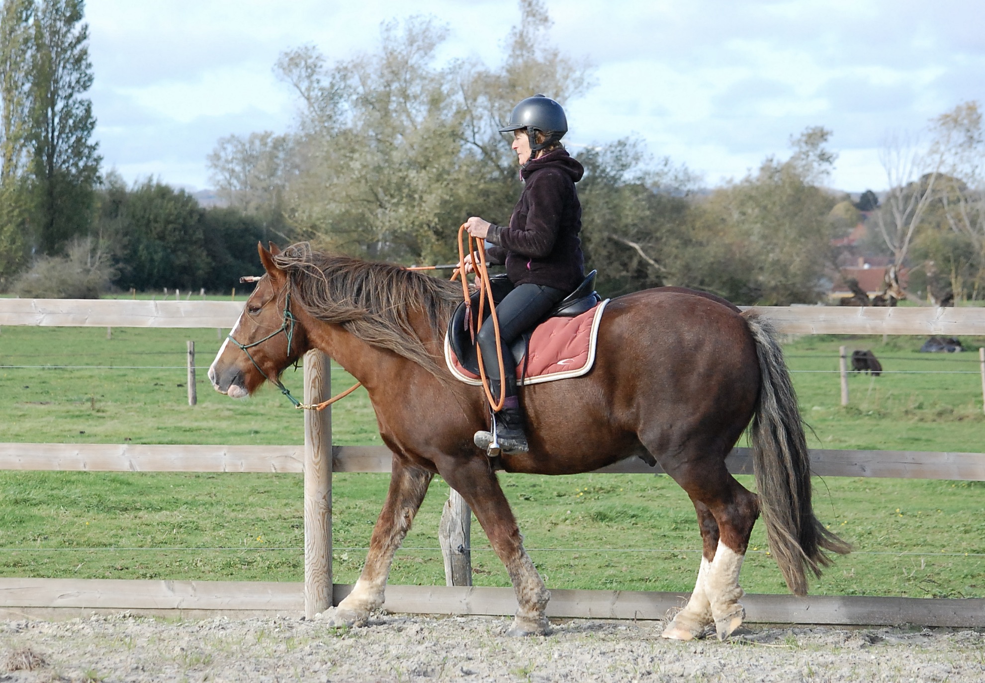 Pascale Theys pendant un stage Equi-MaM