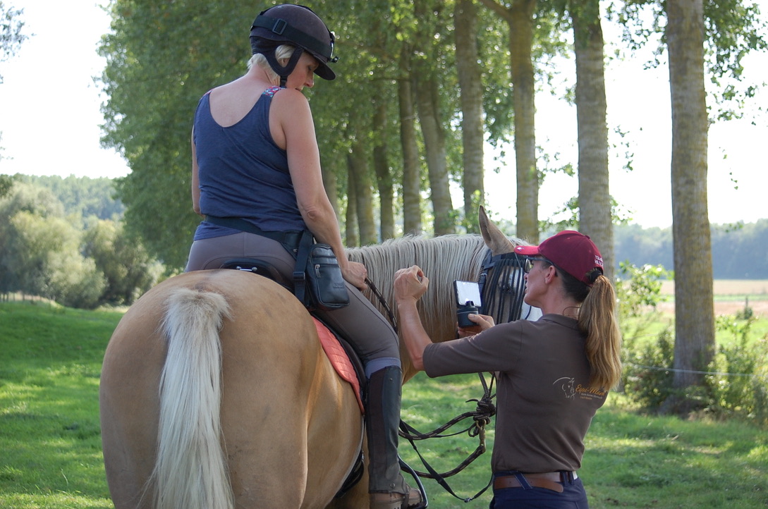 Explication pédagogique filmée pendant un stage Equi-MaM