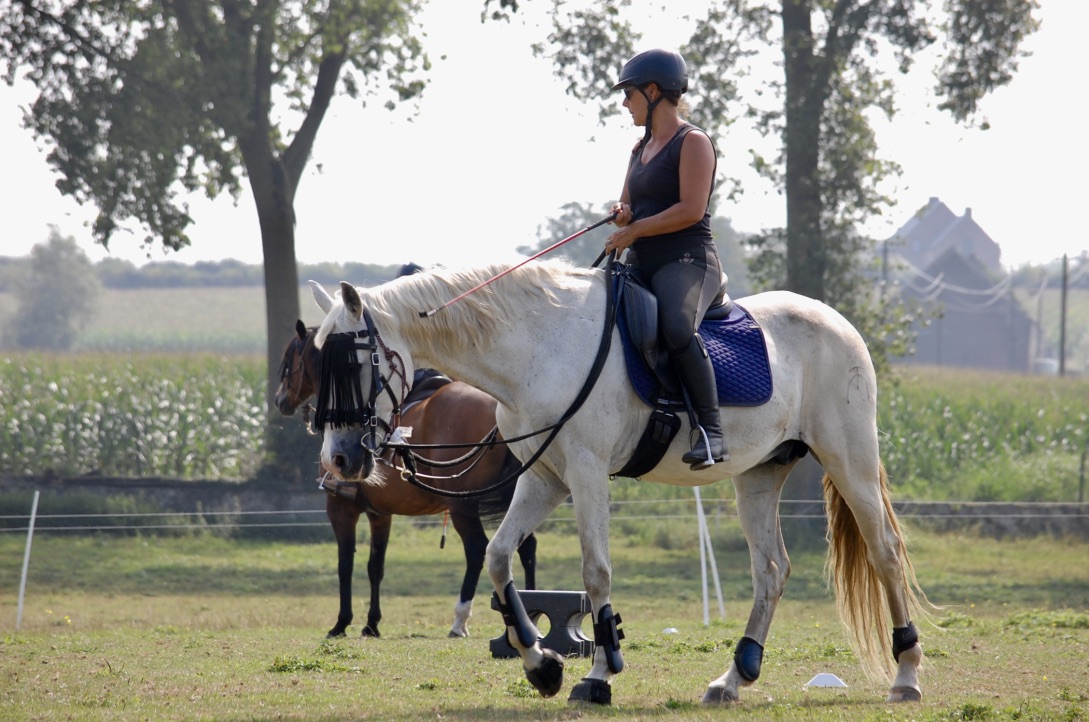 Sarah en cordelette pendant un stage Equi-MaM