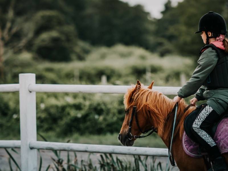 Dziewczynka jeździ konno w szkółce jeździeckiej. Obóz konny, ćwiczenia w siodle na padoku